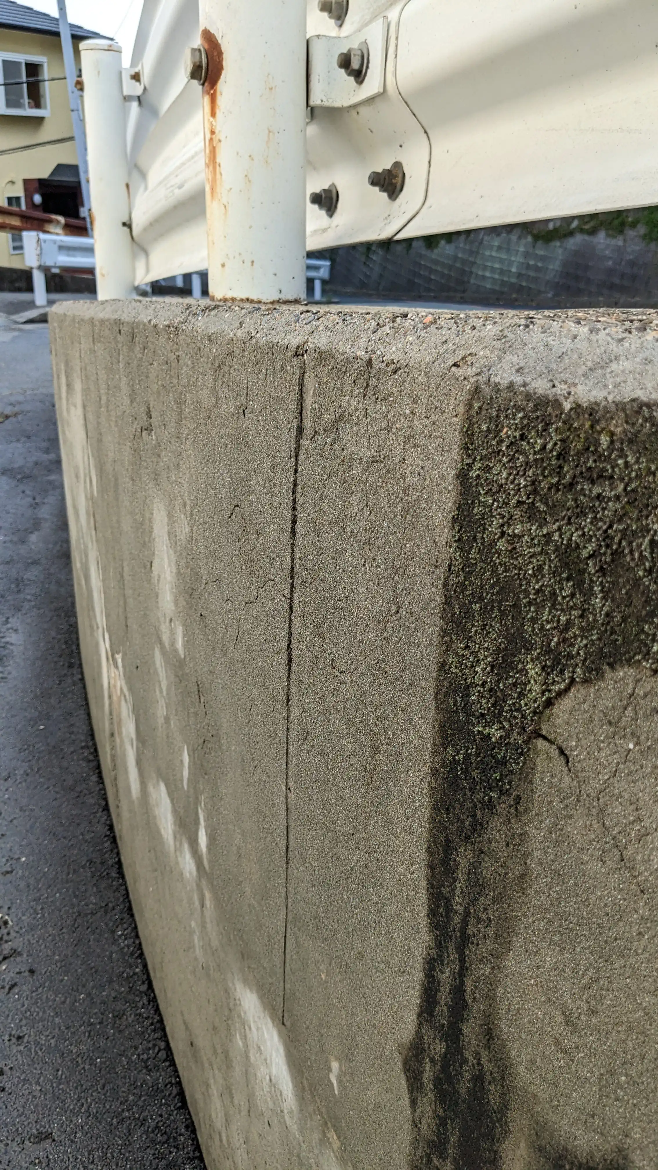 Mossy concrete wall and ramp cleaned with exterior pressure washing